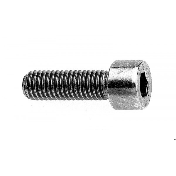 Screw CHC M6 x 20 Stainless