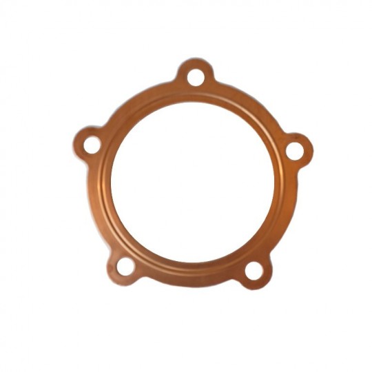 fantic-250-head-gasket